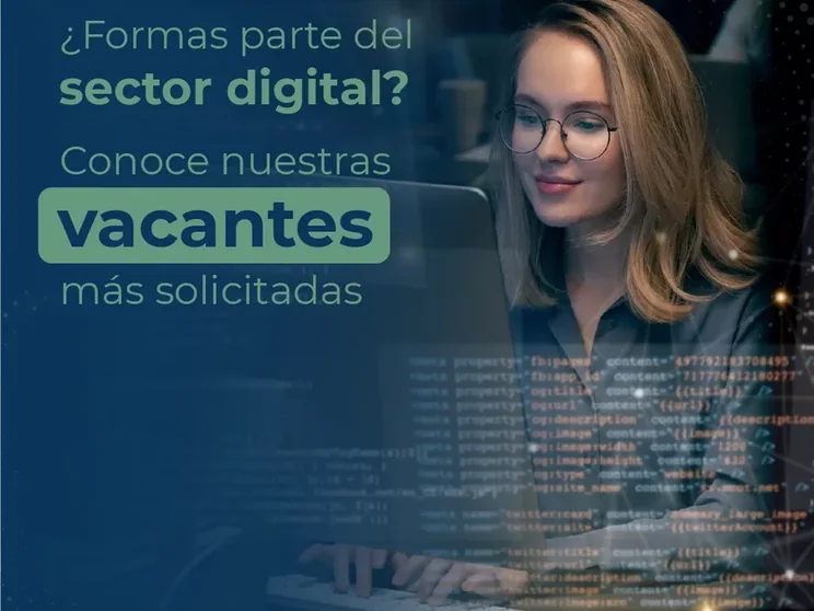 Sistema visual para redes de la plataforma de empleo Konempleo