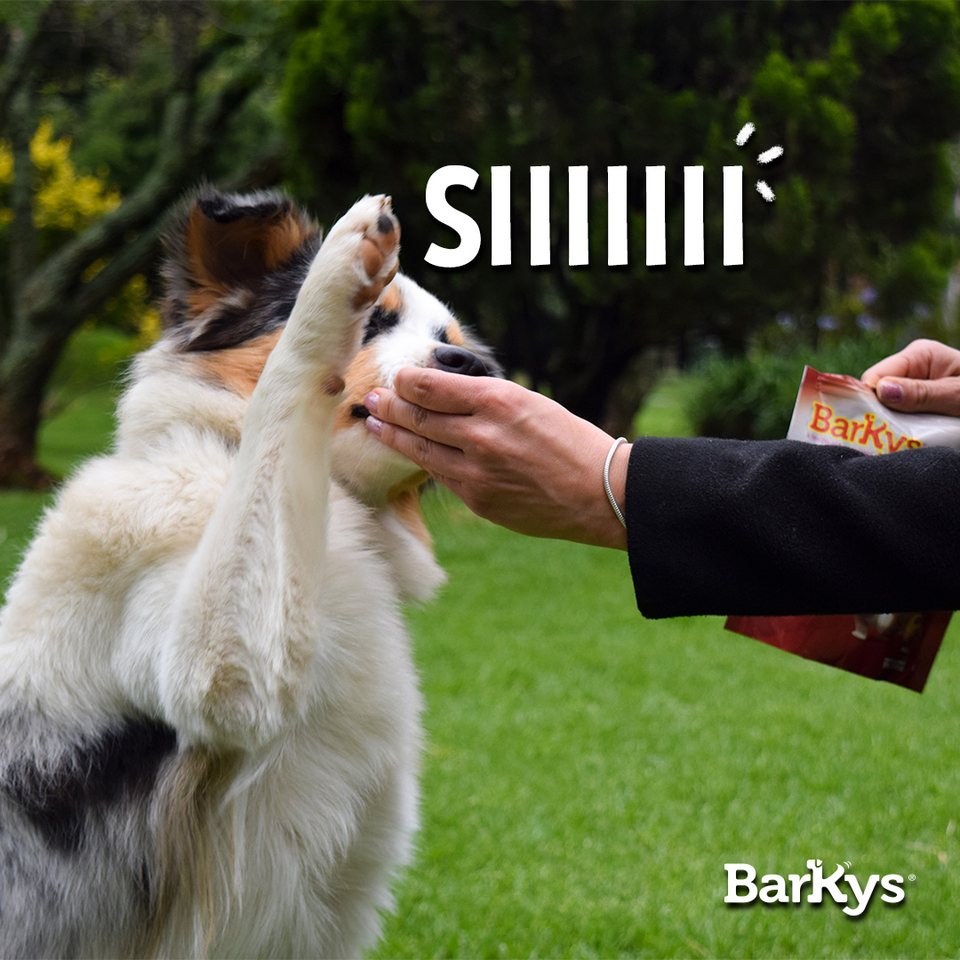 «SIIIIIII», pieza 2 de 2 · 24 jun 2023