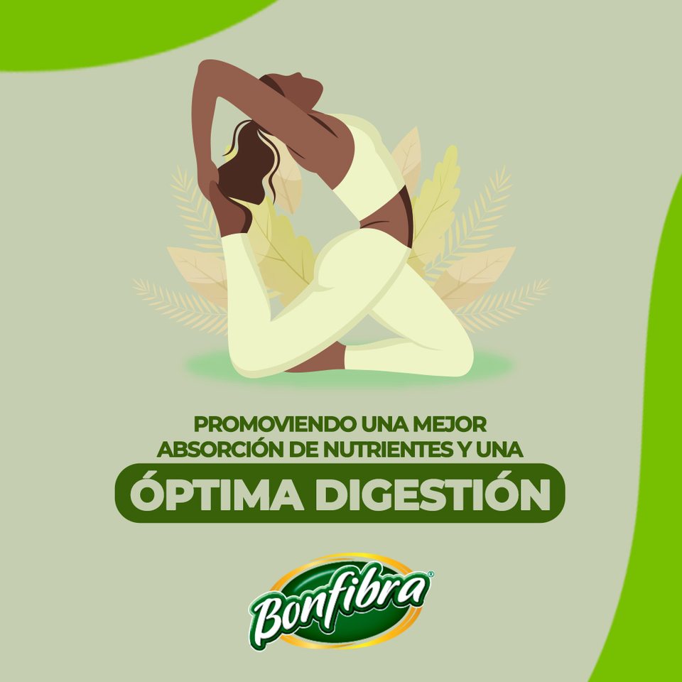 Pieza 3 de 4, absorción de nutrientes