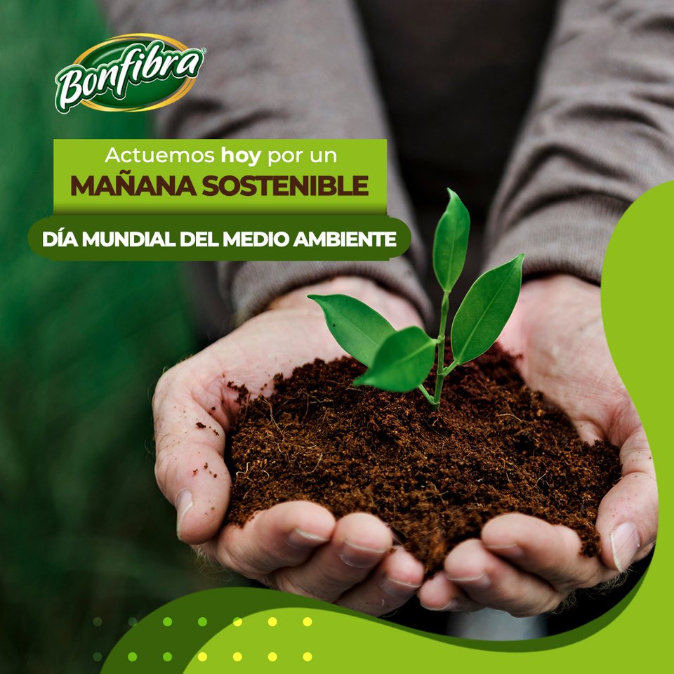 Día mundial del medio ambiente, 5 jun 2023