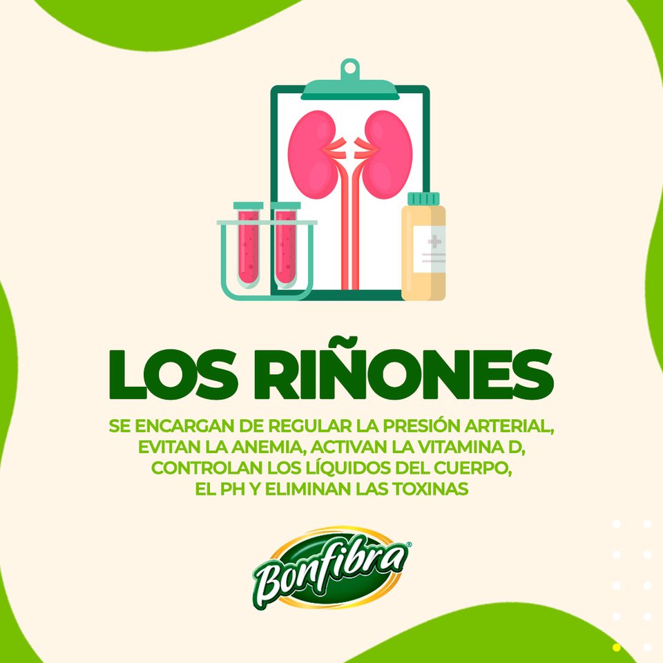 Infografía de las funciones del riñón, 9 mar 2023