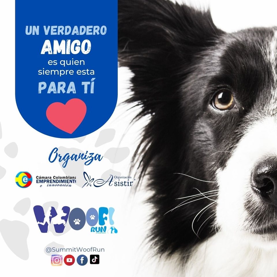 Pieza animada — «Un verdadero amigo es quien siempre está para ti»