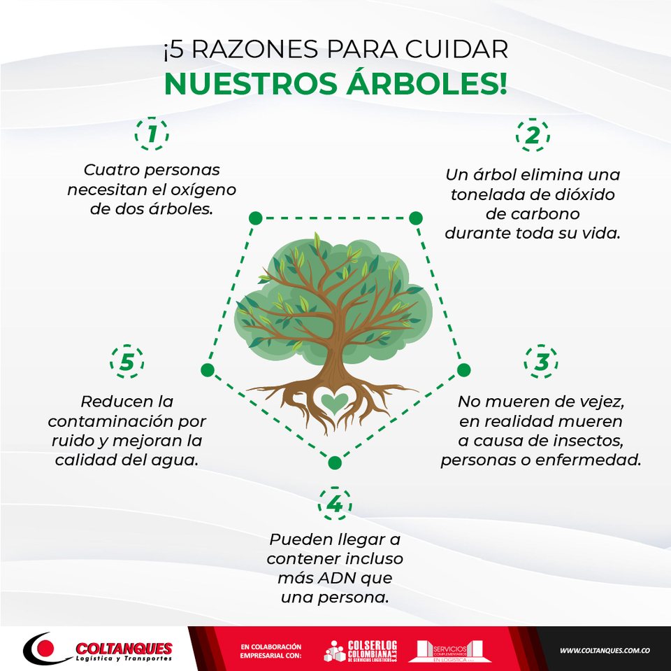 Cinco razones para cuidar los árboles, en infografía