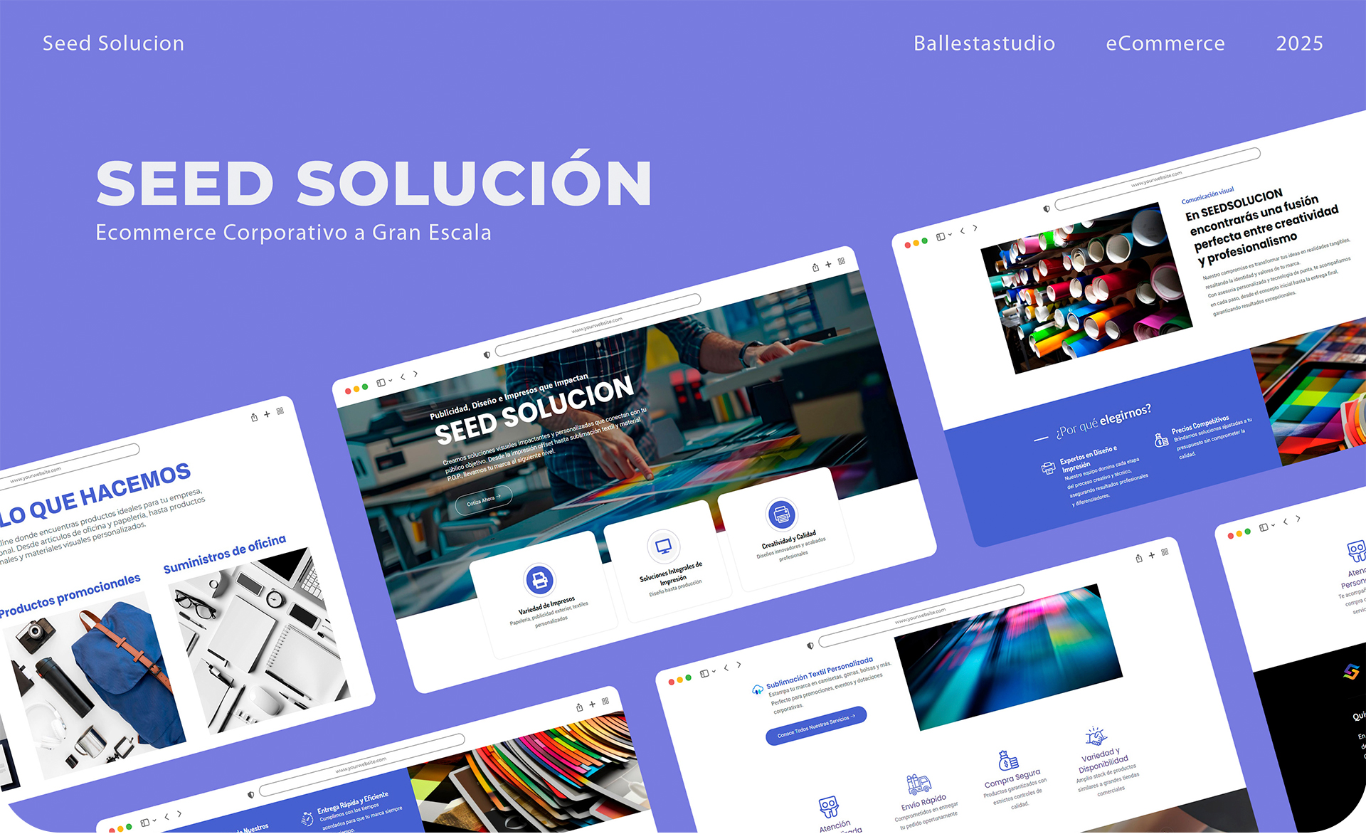 SEED SOLUCIÓN - Vista general del proyecto